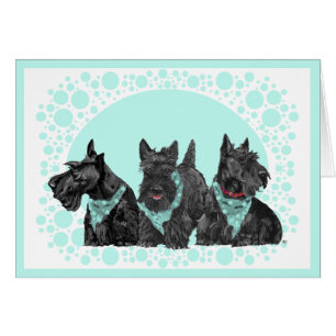 Carte de vœux Terrier Écossais
