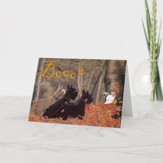 Carte de vœux Terrier Écossais (Devant)