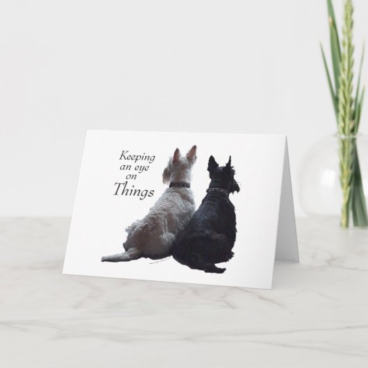 Carte de vœux Terrier Écossais (Devant)