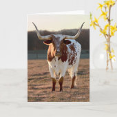 Carte de vœux Texas Longhorn (Fleur jaune)