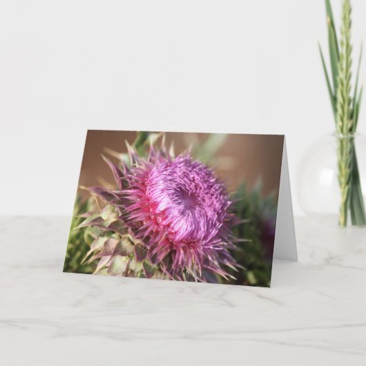 Carte de voeux Texas Purple Thistle (Devant)