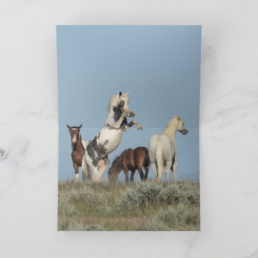 Carte de voeux Thor's Challenge Wild Horse (Intérieur)