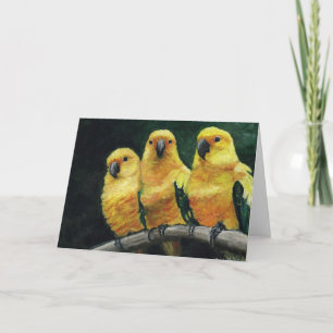 Carte de voeux "Three Sun Conures"