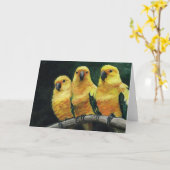 Carte de voeux "Three Sun Conures" Oiseau Art (Fleur jaune)