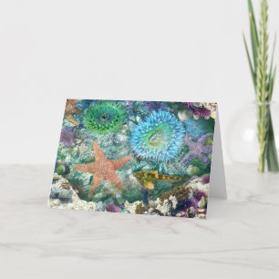 Carte de voeux Tidepool Réflexions