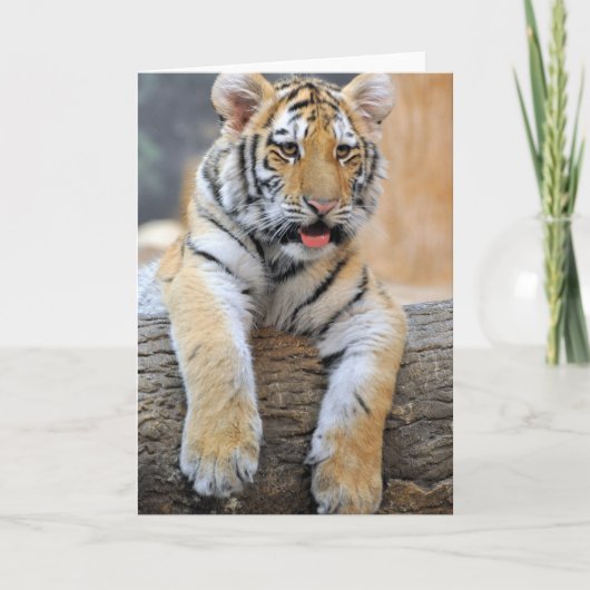 Carte de voeux Tiger Cub (Devant)