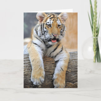 Carte de voeux Tiger Cub