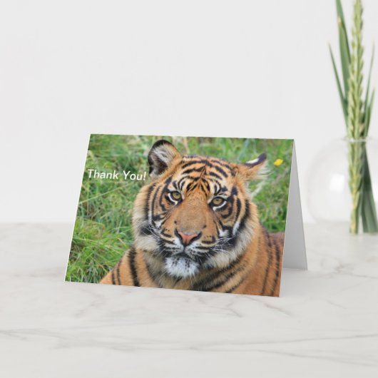 Carte de voeux Tiger Merci (Devant)