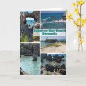Carte de voeux Tobacco Bay Beach, Bermudes (Fleur jaune)