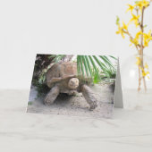 Carte de voeux Tortoise (Fleur jaune)