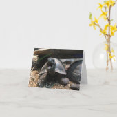 carte de voeux tortue bébé (félicitations) (Fleur jaune)