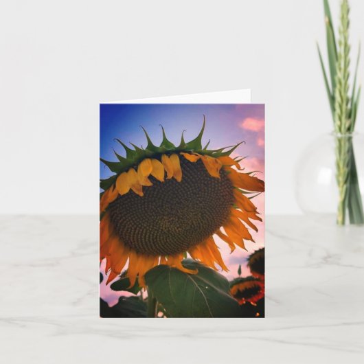 Carte de vœux Tournesol (Devant)