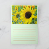 Carte de vœux tournesol (Intérieur)