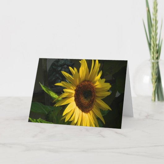 Carte de voeux Tournesol blanc (Devant)