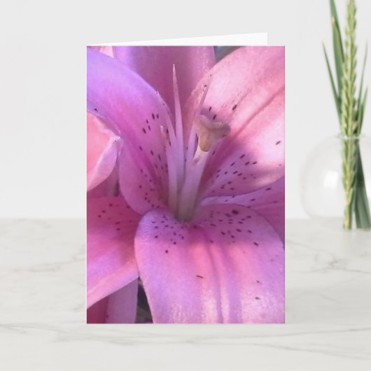 Carte de voeux tout usage Lily (Devant)