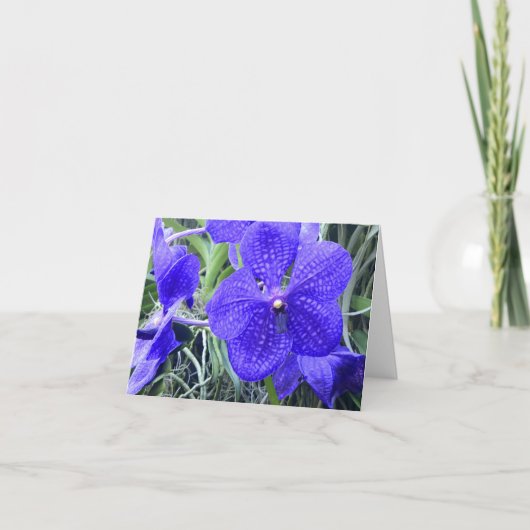 Carte de voeux tout usage Vanda bleu Orchids (Devant)