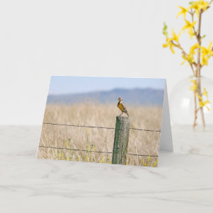 Carte de vœux toute occasion Alouette des prairies