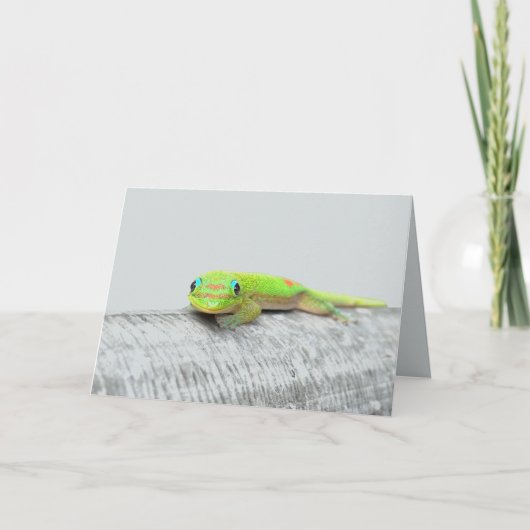 Carte de vœux toutes occasions Gecko (Devant)