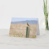 Carte de vœux toutes occasions Western Meadowlark (Devant)