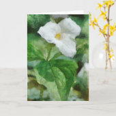 Carte de voeux Trillium Flower Artwork (Fleur jaune)