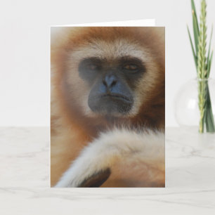 Carte de voeux triste de gibbon