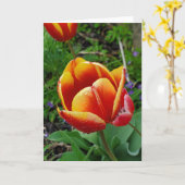 Carte de voeux Tulip (Fleur jaune)