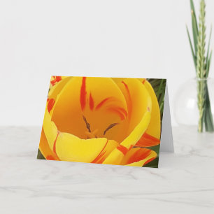 Carte de voeux Tulip Jaune