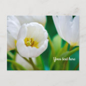 Carte de vœux Tulipe Blanche (Devant)