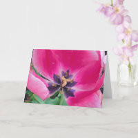 Carte de vœux Tulipe Rose