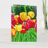 Carte de vœux Tulipes (Dos)