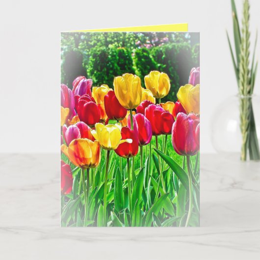 Carte de vœux Tulipes (Devant)