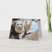 Carte de voeux Turc Angora Kittens (Dos)
