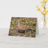 Carte de voeux Turtle Dove (Fleur jaune)