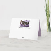 carte de voeux twin kittens (Dos)