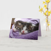 carte de voeux twin kittens (Fleur jaune)