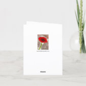 Carte de voeux unique rouge Gerbera pliée (Dos)