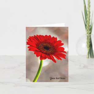 Carte de voeux unique rouge Gerbera pliée