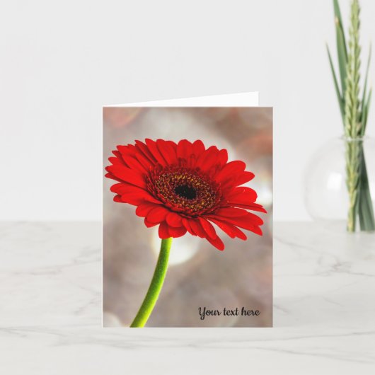 Carte de voeux unique rouge Gerbera pliée (Devant)