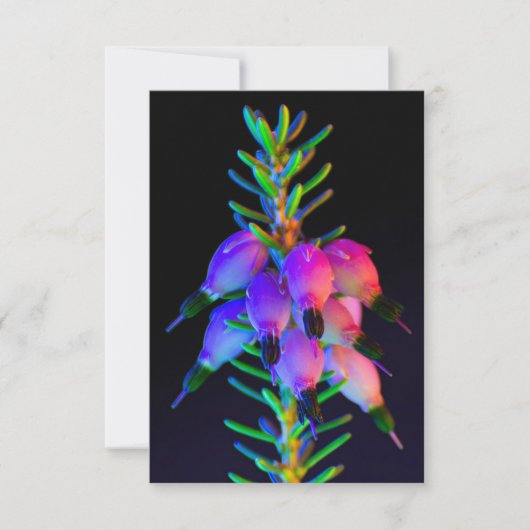 Carte de voeux UV Fleurs ultra violettes (Devant)