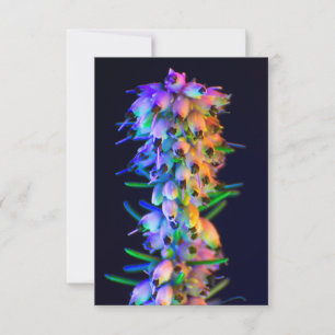Carte de voeux UV Fleurs ultra violettes