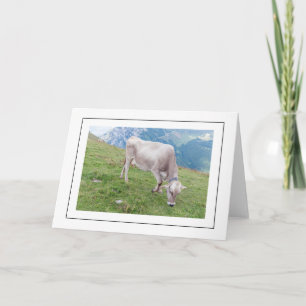 Carte de vœux vache au pâturage