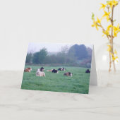 Carte de voeux - Vaches en couleur (Fleur jaune)