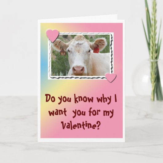 Carte de voeux Valentine Vache (Devant)