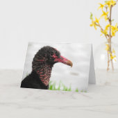 Carte de voeux Vautour Noir (Fleur jaune)