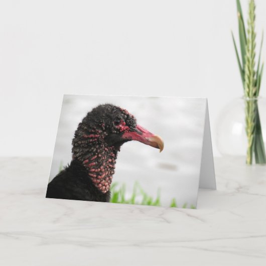 Carte de voeux Vautour Noir (Devant)
