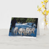 Carte de voeux "Ventilateur d'ombre" (Fleur jaune)