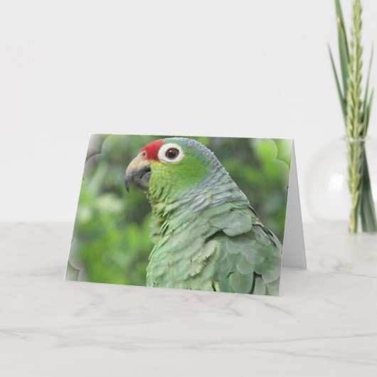 Carte de voeux verte de perroquet (Devant)