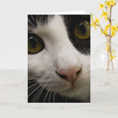 Carte de voeux Vertical : Mickey le chat (Fleur jaune)