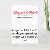 Carte de voeux verticale : Lilly le chat (Dos)