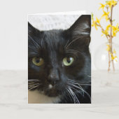 Carte de voeux verticale : Lilly le chat (Fleur jaune)